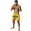 FIGHT-FIT - Muay Thai Shorts / Gelb