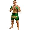 FIGHTERS - Muay Thai Shorts / Grün