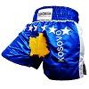FIGHTERS - Muay Thai Shorts / Kosovo-Kosova / Yll / Large
