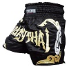 FIGHTERS - Muay Thai Shorts / Schwarz-Gold / Small