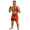 FIGHTERS - Muay Thai Shorts / Rot-Gold