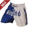 FIGHT-FIT - Muay Thai Shorts / Weiss-Blau / XL