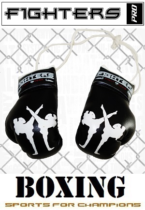 FIGHT-FIT - Mini Gants de Boxe / Fighters / Noir