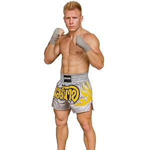 FIGHTERS - Muay Thai Shorts / Silber-Grau / Small